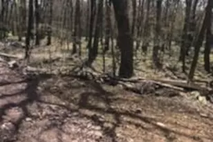 Cree Trail, Albrightsville, PA 18210 - Photo 1