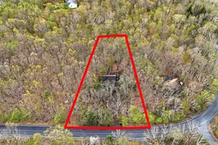 282 Blue Ridge Dr, Canadensis, PA 18325 - Photo 49