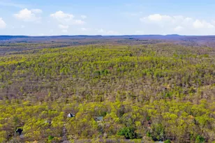 307 Forest Dr, Canadensis, PA 18325 - Photo 45