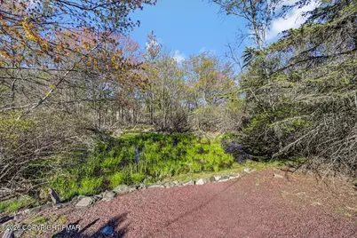  458 Cedar Drive, Long Pond, PA 18334 - Photo 59