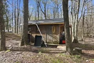 106 Butternut Ln, Canadensis, PA 18325 - Photo 51
