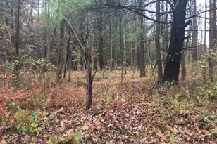 Lot 259 Birstol Circle, East Stroudsburg, PA 18302 - Photo 1