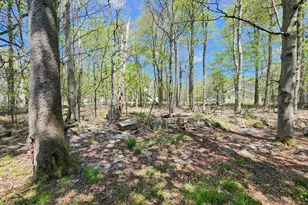 1686 Moonbeam Terrace, Tobyhanna, PA 18466 - Photo 39