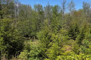 Hermit Thrush Rd Rd, Pocono Pines, PA 18350 - Photo 1