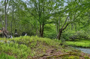 54 N Lehigh River Dr, Covington Township, PA 18424 - Photo 63
