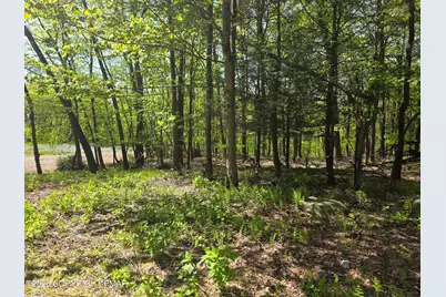  17 Laurel Lane, Mount Pocono, PA 18344 - Photo 9