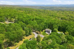 107 Morris Pl, Bushkill, PA 18324 - Photo 49