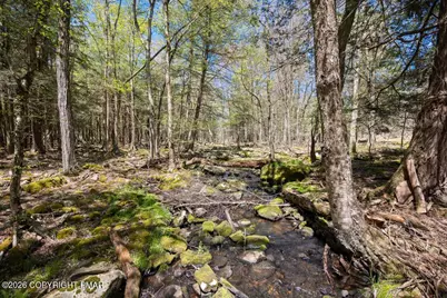  1061 Ridge Drive, Gouldsboro, PA 18424 - Photo 53