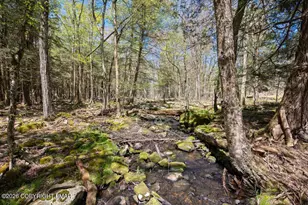 1061 Ridge Dr, Gouldsboro, PA 18424 - Photo 53