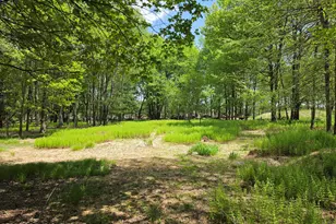 Lot Ev661 Lang Way, Albrightsville, PA 18210 - Photo 1