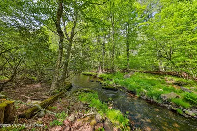  331 Cranberry Creek Road, Cresco, PA 18326 - Photo 89