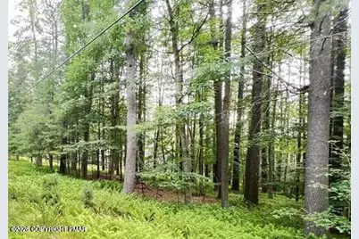  Lot 770 Tink Wig Drive, Hawley, PA 18428 - Photo 7