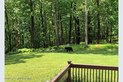  1673 Laurel Run Road, Bear Creek Township, PA 18702 - Photo 23