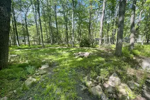 58 Squirrel Trl, White Haven, PA 18661 - Photo 41