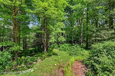  754 Carlton Road, Tobyhanna, PA 18466 - Photo 53