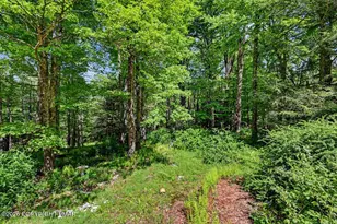 754 Carlton Rd, Tobyhanna, PA 18466 - Photo 53