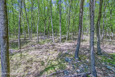  171 Foothill Boulevard, Effort, PA 18330 - Photo 41