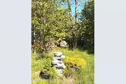  1525 Black Birch Way, Tobyhanna, PA 18466 - Photo 49
