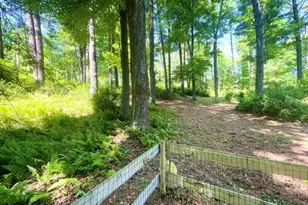 1107 Setzer Rd, Stroudsburg, PA 18360 - Photo 7