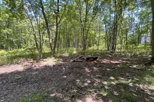 115 Aspen Dr, Jim Thorpe, PA 18229 - Photo 59