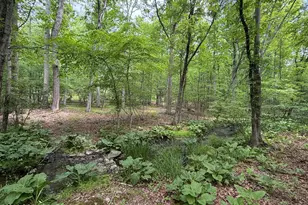 199 Upper Lakeview Dr Dr, East Stroudsburg, PA 18302 - Photo 1
