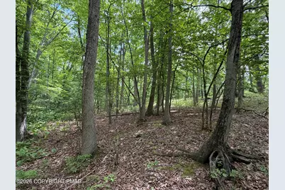  199 Upper Lakeview Dr Drive, East Stroudsburg, PA 18302 - Photo 3