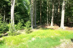129 Sawmill Rd, Pocono Lake, PA 18347 - Photo 27