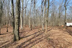479 Jonas Rd, Effort, PA 18330 - Photo 7