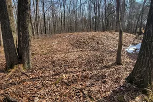 479 Jonas Rd, Effort, PA 18330 - Photo 5
