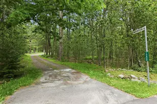 1208 Little Billy Ln, Tobyhanna, PA 18466 - Photo 65