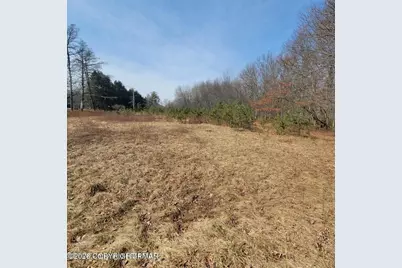  479 Jonas Road, Effort, PA 18330 - Photo 3