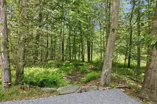 291 Berry Ln, Pocono Lake, PA 18347 - Photo 101
