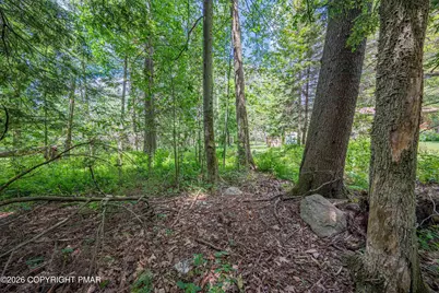  5226 Beechwood Road, Blakeslee, PA 18610 - Photo 65