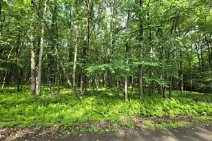 44 Poe Cir, Albrightsville, PA 18210 - Photo 1
