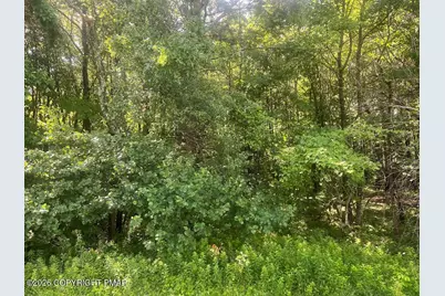  Sylvester Dr 303 Drive, Long Pond, PA 18334 - Photo 1
