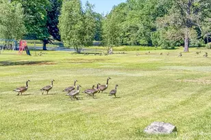 167 El Do Lake Dr, Kunkletown, PA 18058 - Photo 41