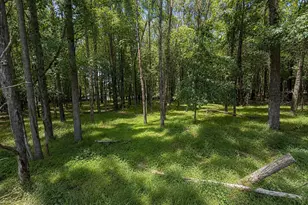 Mountain Rd Lot 521, Albrightsville, PA 18210 - Photo 1