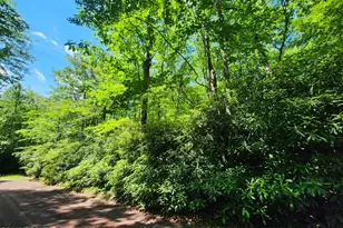 Lot A48 Rhododendron Rd, Jim Thorpe, PA 18229 - Photo 1
