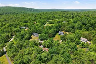 322 Scenic Dr, Blakeslee, PA 18610 - Photo 119
