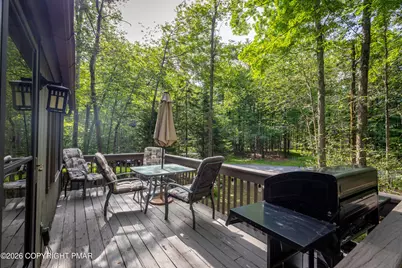  250 Wechquetank Drive, Pocono Lake, PA 18347 - Photo 59