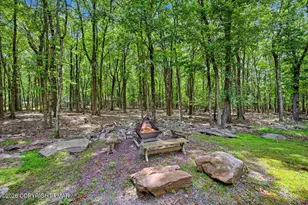 9 Skye Dr, Lake Harmony, PA 18624 - Photo 95