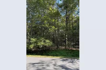  166 George Drive, Blakeslee, PA 18610 - Photo 3