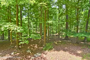 2217 Longview Dr, Bushkill, PA 18324 - Photo 29