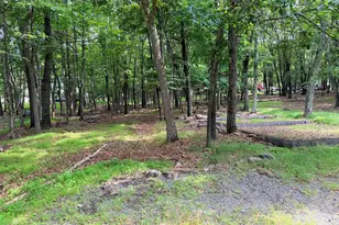 32 Shawnee Trail, Albrightsville, PA 18210 - Photo 21