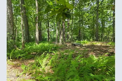  1A Sherwood Forest Road, Stroudsburg, PA 18360 - Photo 21