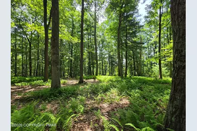  1A Sherwood Forest Road, Stroudsburg, PA 18360 - Photo 15