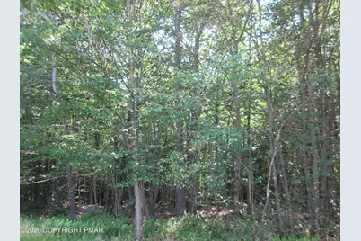  10 Sheshequin Drive, Pocono Lake, PA 18347 - Photo 3