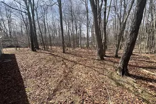9660 Stony Hollow Dr, Tobyhanna, PA 18466 - Photo 31