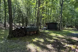 179 Wildwood Dr, Canadensis, PA 18325 - Photo 31