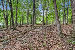 205 W Plainfield Ave, Pen Argyl, PA 18072 - Photo 59